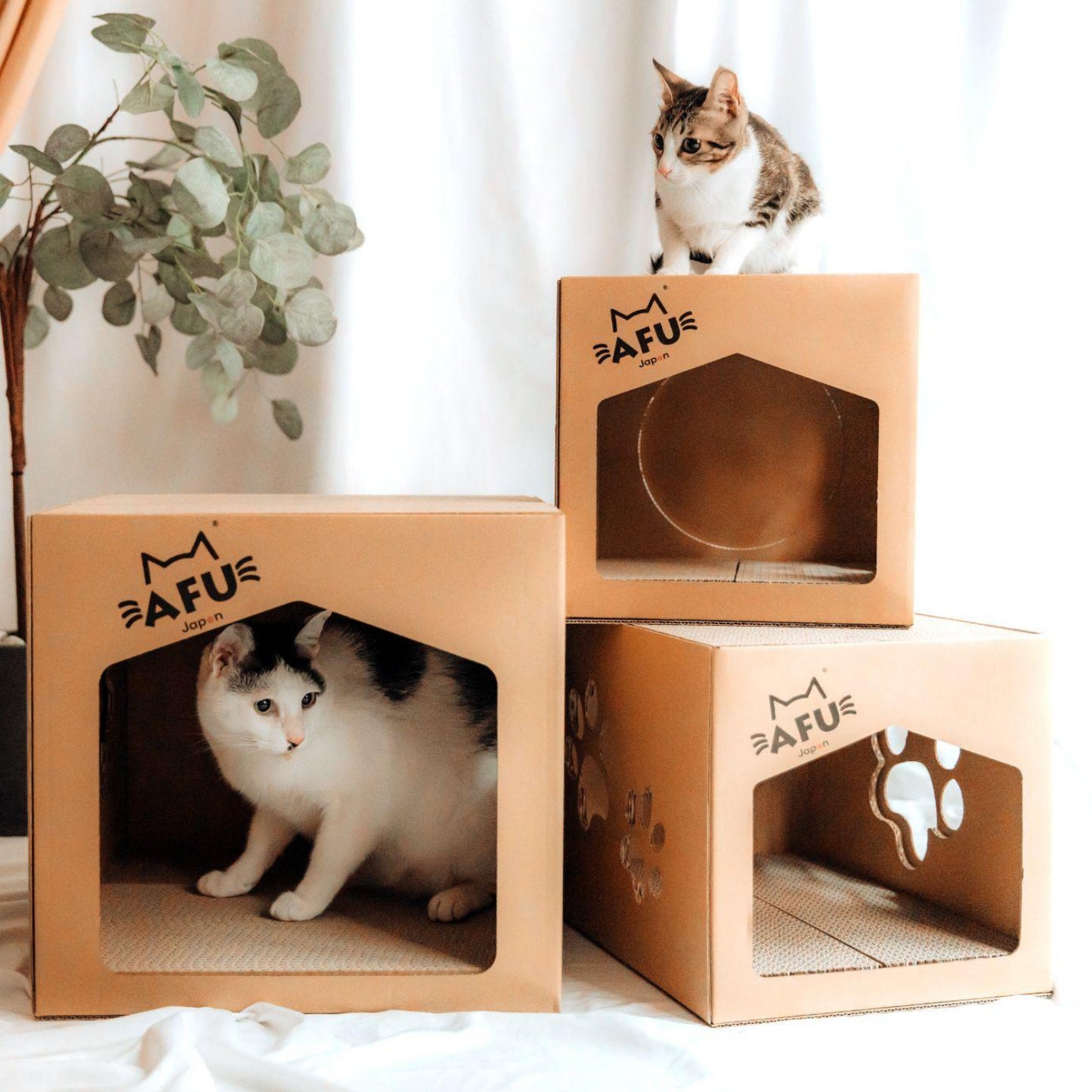 AFU JAPAN キャットパレス